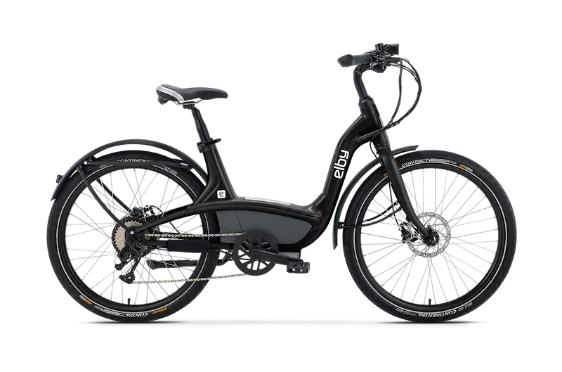 E- BIKE RENTAL