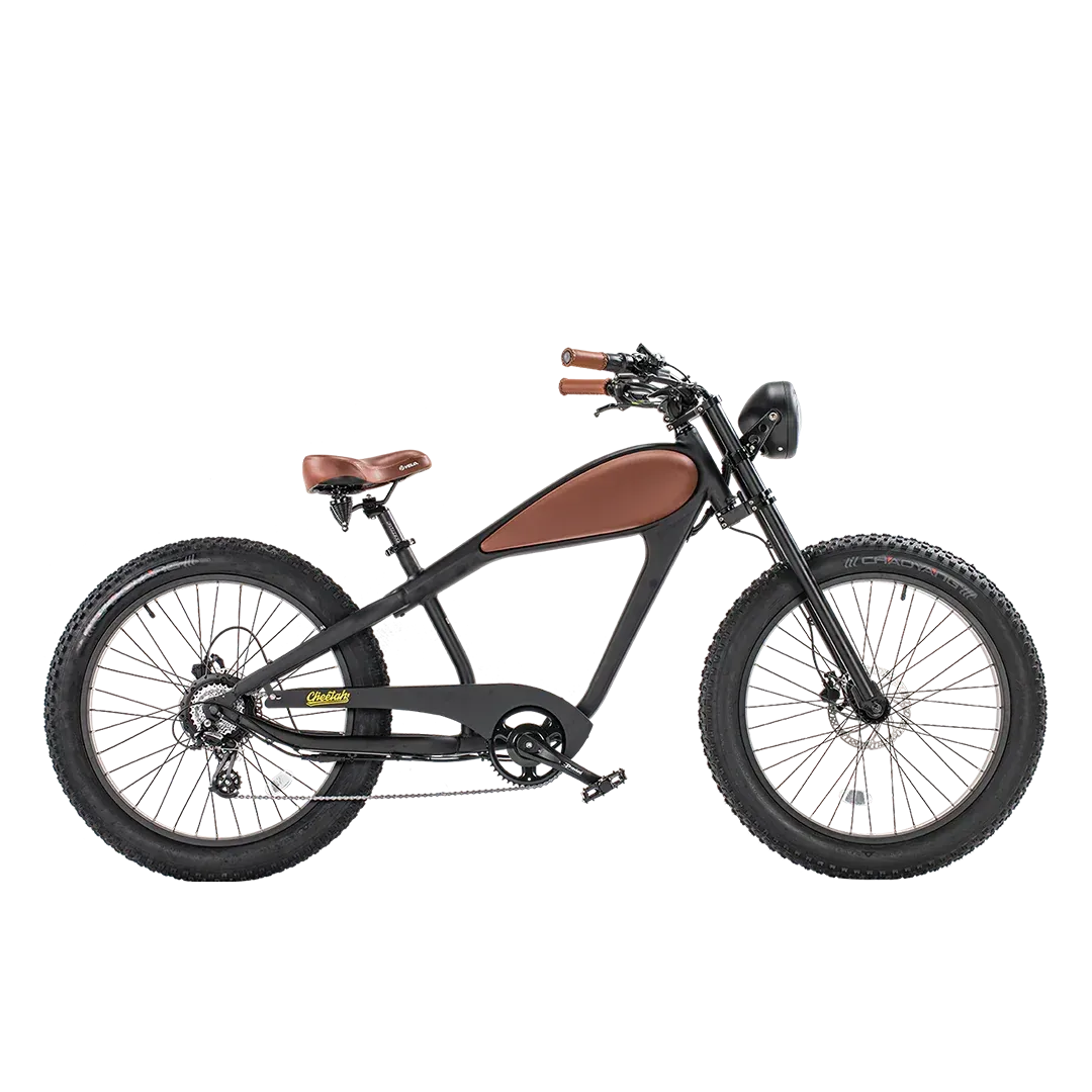 E- BIKE RENTAL