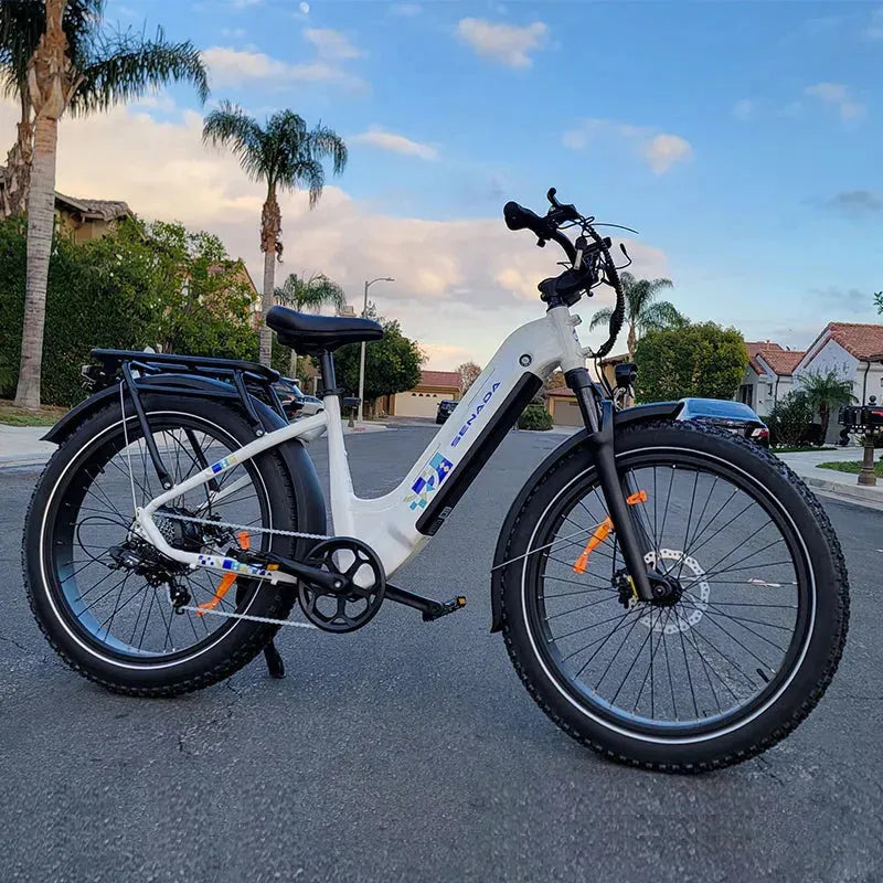 E- BIKE RENTAL