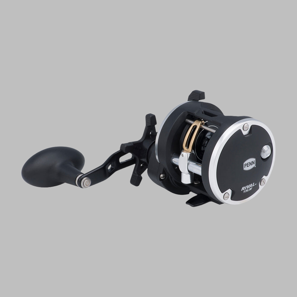 Offshore Reels  |  Surf Reels  |  Baitcasting Reels