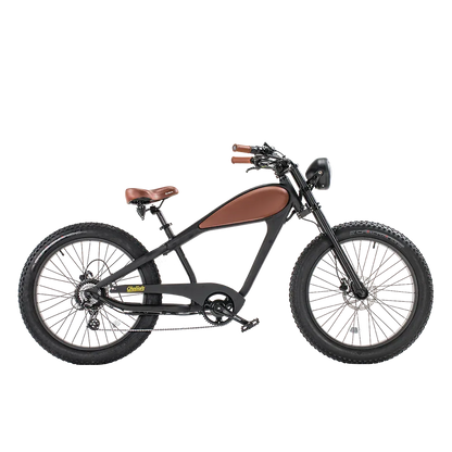 E- BIKE RENTAL