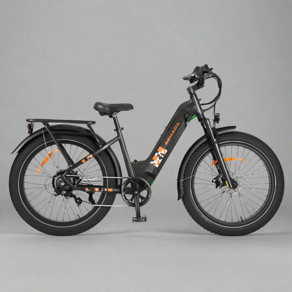 E- BIKE RENTAL