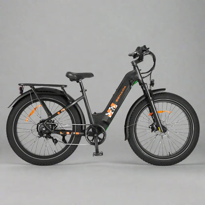 E- BIKE RENTAL