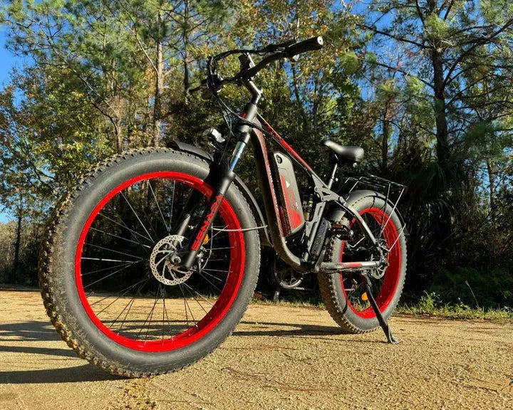 E- BIKE RENTAL